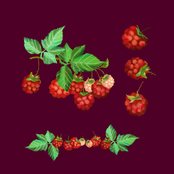 red raspberry digital illustration - Φωτογραφία, εικόνα