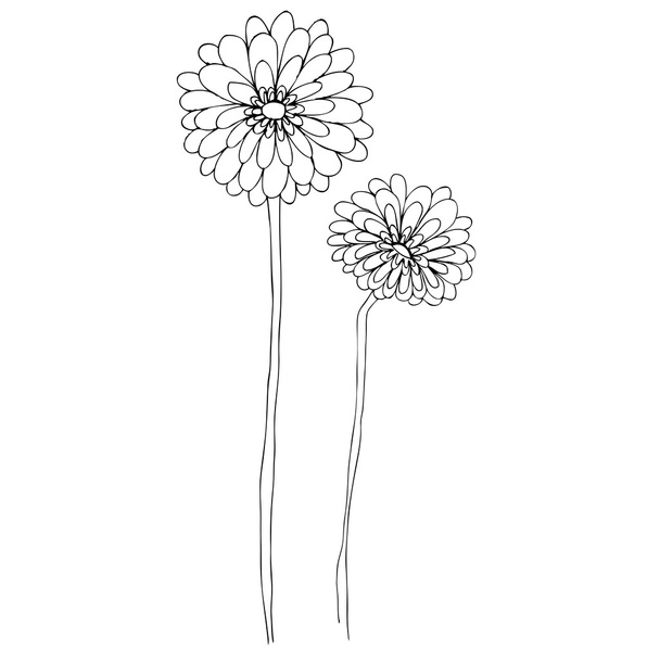 Illustrated cute flowers for your spring design - Photo, Image