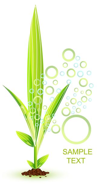 Green nature leaf concept - Vecteur, image