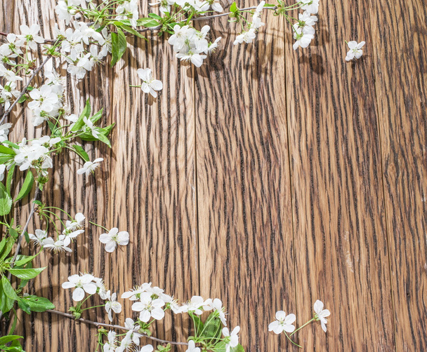 Ramita de cerezo floreciente sobre mesa de madera vieja
. - Foto, Imagen