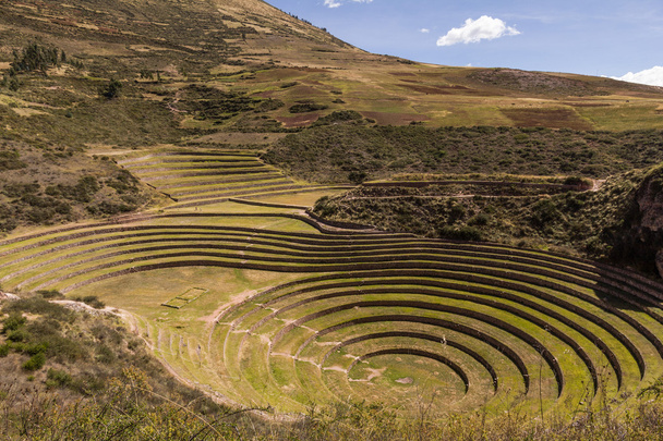 circular terraces on peru top view - Photo, Image