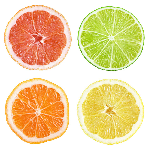 Slices of grapefruit, lime, lemon, orange - Фото, изображение