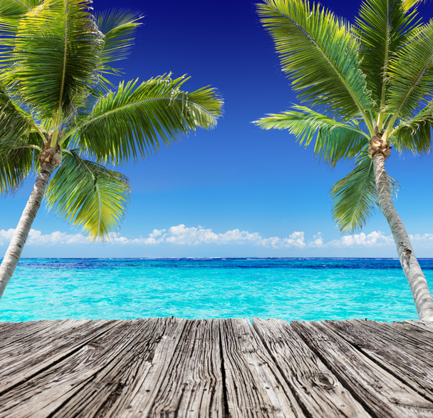 Tropical Seascape With Wooden Plank And Palm Trees On The Turquoise Ocean - Summer Holiday Background - Photo, Image