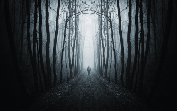 Homme marchant sur un sentier dans une forêt sombre avec du brouillard
 - Photo, image