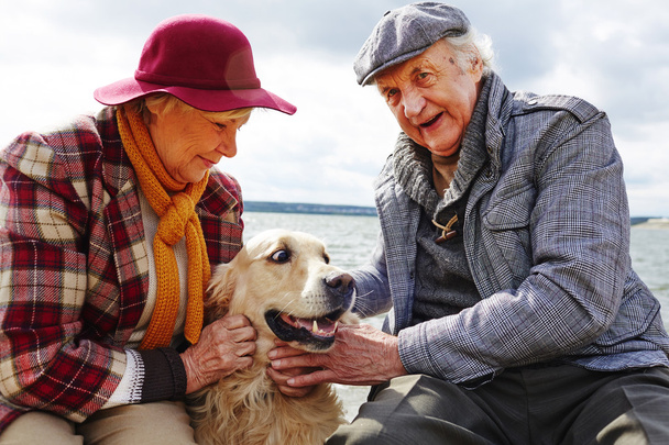Casal aposentado com cão
 - Foto, Imagem