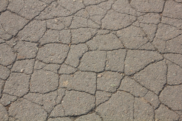 Very cracked asphalt - Fotó, kép