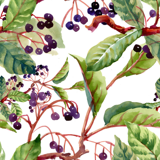 branches, leaves and wild berries - Foto, Imagem