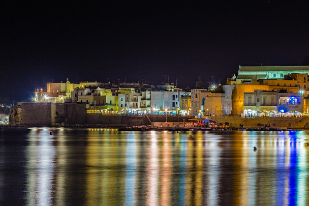Нічний погляд Харбор стародавнього міста на узбережжі Адріатичного моря в Італії - Фото, зображення