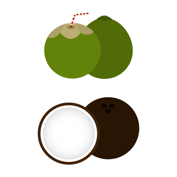 Barna és zöld kókuszdió - Vektor, kép