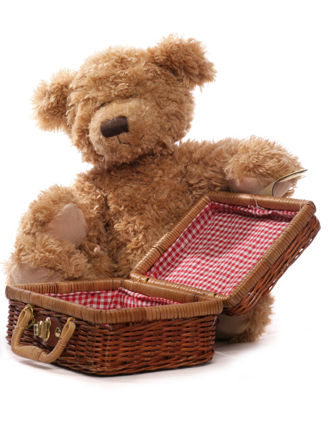 Picknick mit Teddybären - Foto, Bild