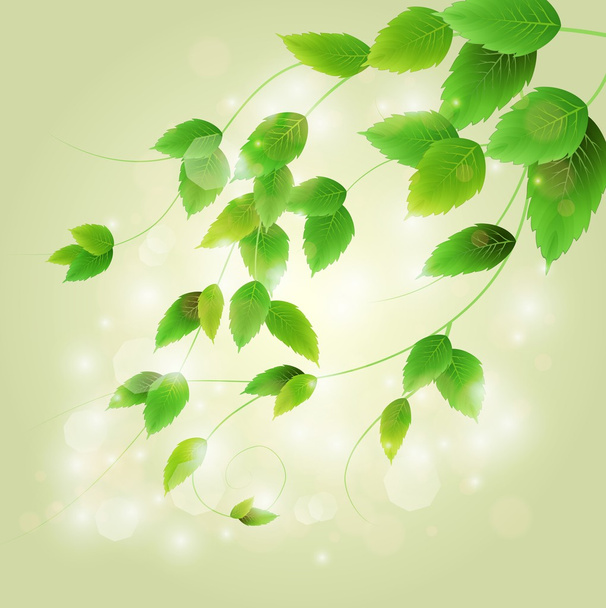 新鮮な緑の葉と春枝 - ベクター画像
