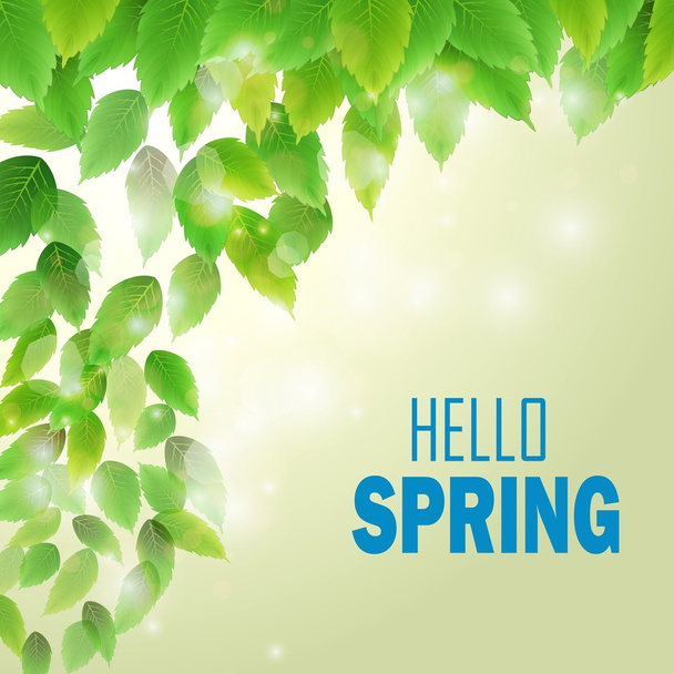 Spring branch with fresh green leaves - Vector, Image