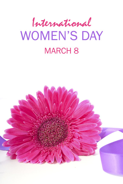 Día Internacional de la Mujer Rosa Gerbera
 - Foto, imagen