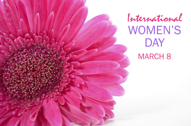 International Womens Day Pink Gerbera - Photo, Image