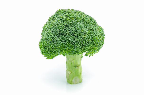brokolice na bílém pozadí. - Fotografie, Obrázek