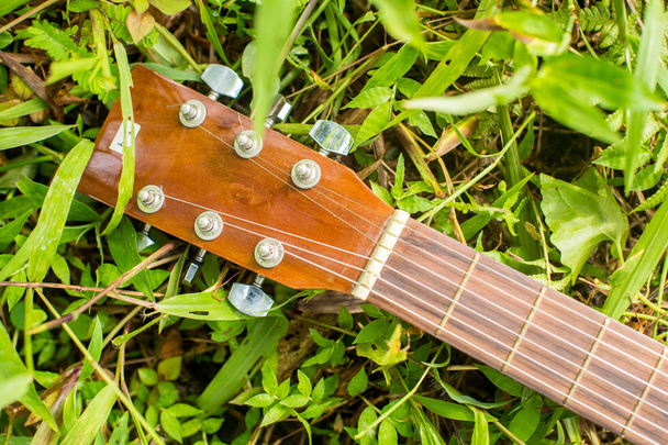 Photo of guitar on the grass - Fotoğraf, Görsel
