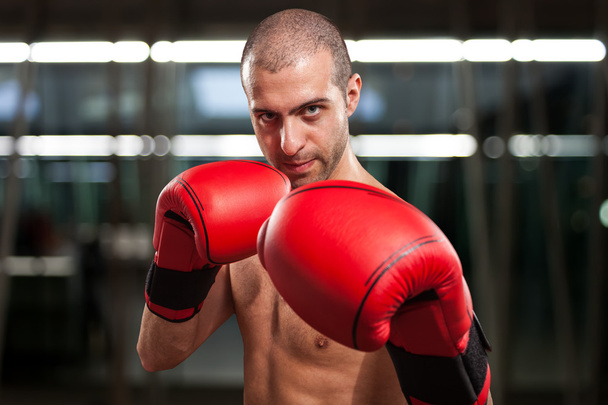 Boxer in guard position - Foto, Imagem