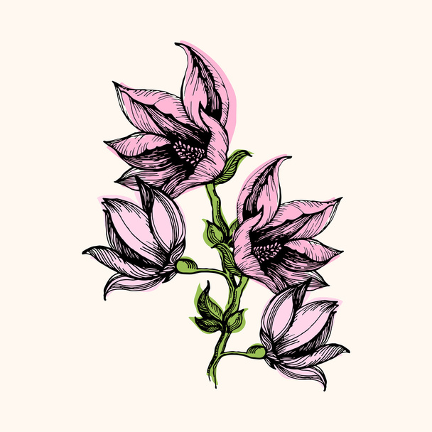 Hafif bir sırt pembe çiçek buketi ile Çiçek kompozisyonu - Vektör, Görsel