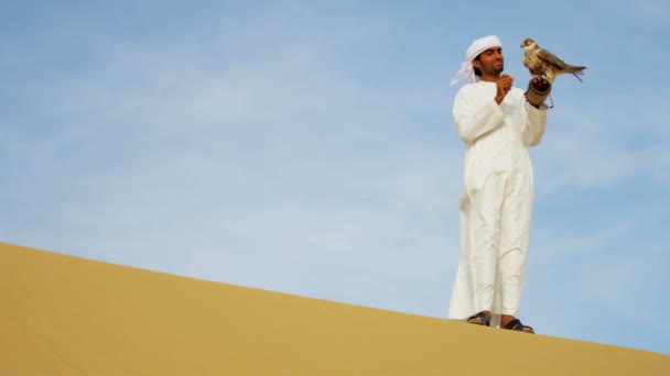 Emiraty człowiek z wyszkolonych Sokół - Materiał filmowy, wideo