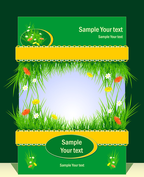 Frame with grass and field flowers for presentation var 2 - Vecteur, image