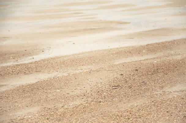 sand dunes on North Sea - Photo, Image