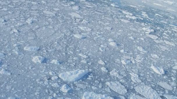 glacier ice floes floating in water - Footage, Video