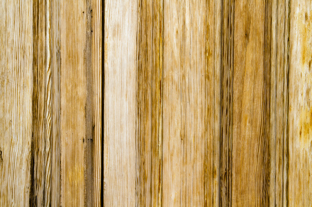 Closeup wood door with textured material - Photo, Image