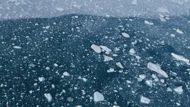 ghiacciai galleggianti in acqua
 - Filmati, video