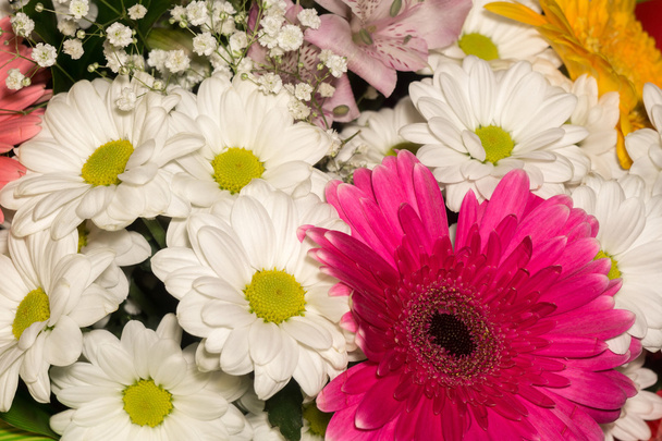 Ramo de flores decorativas
 - Foto, Imagen