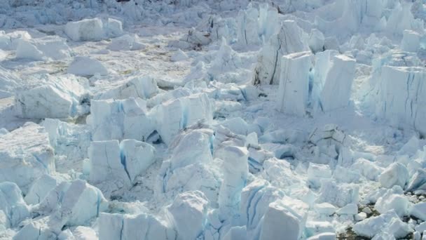 Grónské ledovce arktických ledových ker - Záběry, video