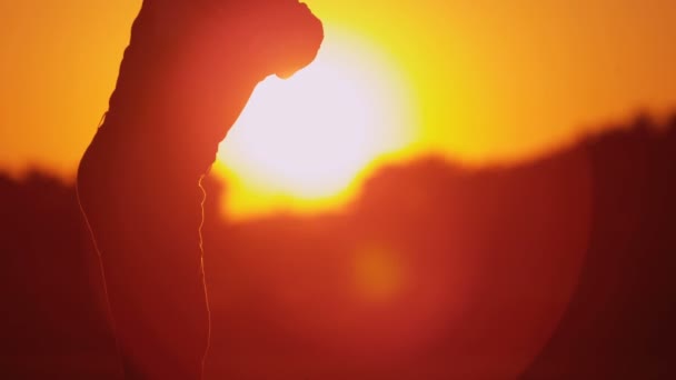 golfeur masculin jouant au golf au coucher du soleil
 - Séquence, vidéo