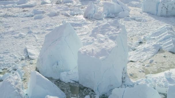 Greenland glacier arctic ice floes - Footage, Video