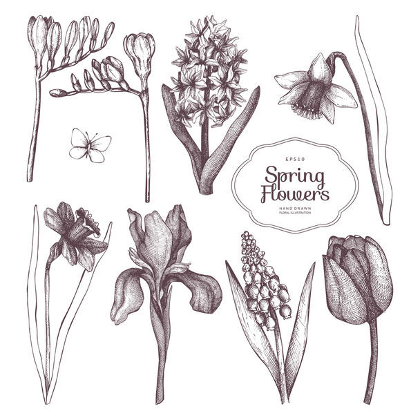 hand drawn spring flowers - Vector, Imagen