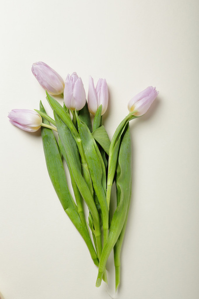 pale pink tulips on a light background - Foto, Imagem