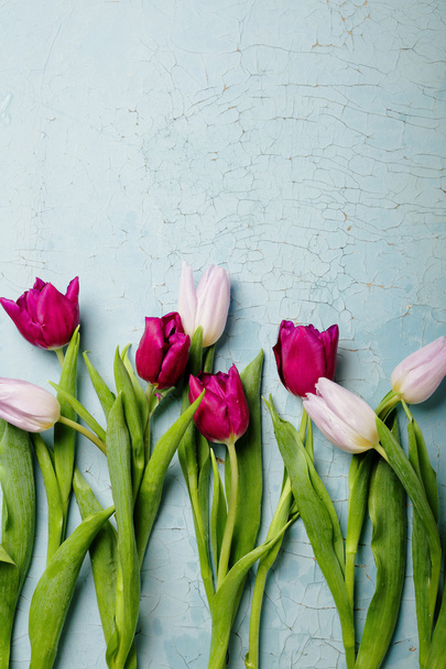 tulips on old backlground - Фото, изображение