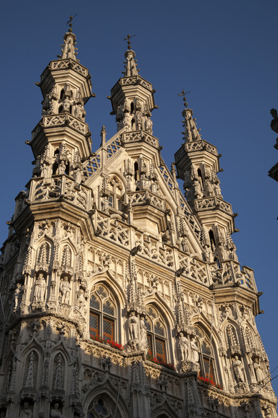 City Hall, Leuven, Belgium - Fotó, kép