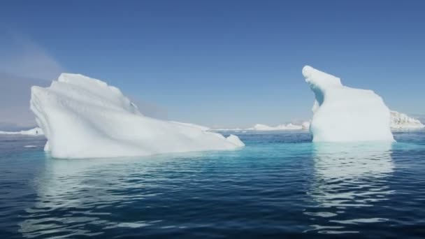 gleccser jég floes lebeg a vízben - Felvétel, videó