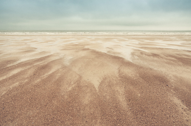 sand dunes on North Sea - Photo, Image