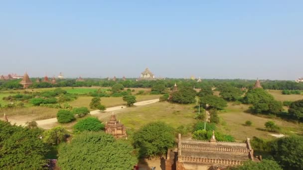 Bagan krajobraz z świątyń - Materiał filmowy, wideo