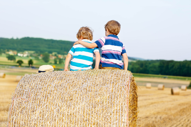 Two little children and friends with hay stack or bale - Photo, Image