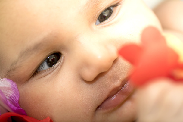Closeup retrato do bebê
 - Foto, Imagem