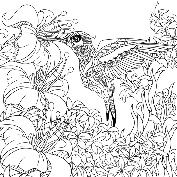 Zentangle stylized hummingbird - Διάνυσμα, εικόνα