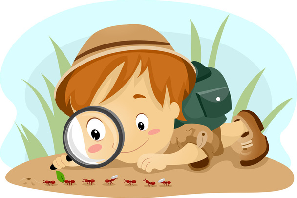 Ребенок наблюдает за муравьями
 - Фото, изображение
