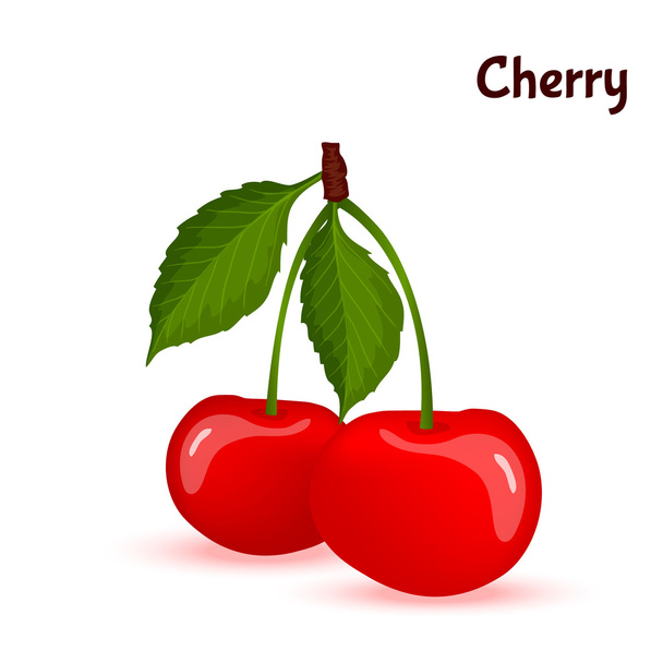Red ripe cherry berries with leaves - Vetor, Imagem