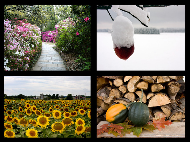 Collage quatre saisons
 - Photo, image