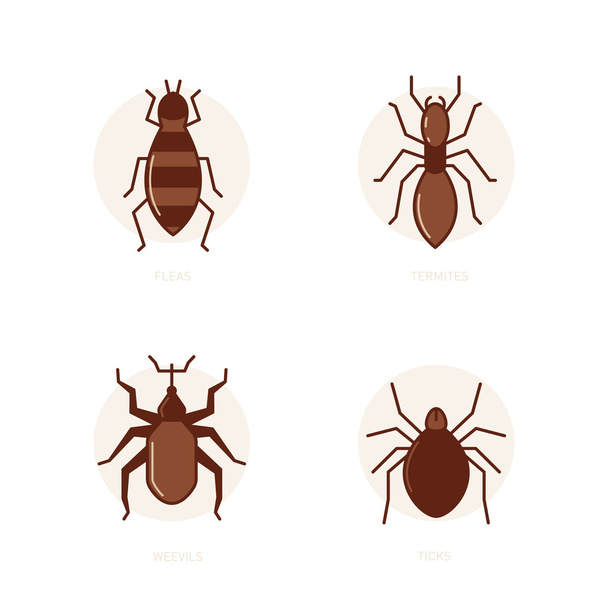 Fleas, termites, weevils, ticks - Vector, Image
