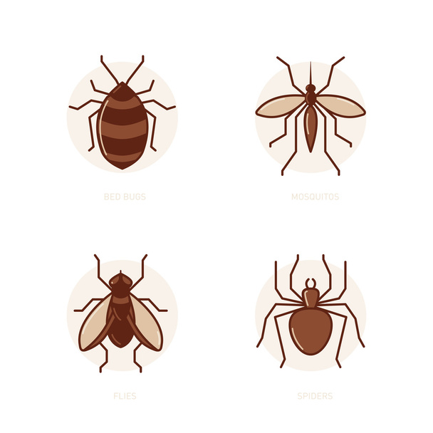 Böcekler, Sivrisinek, sinek, örümcek - Vektör, Görsel