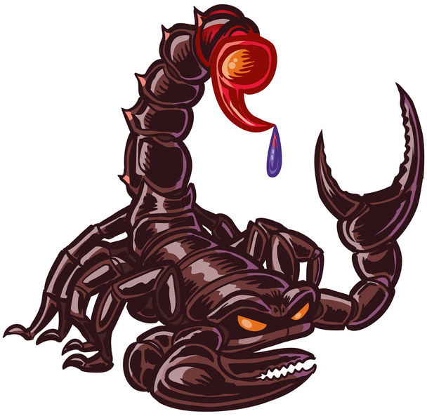 Schwarzer Skorpion mit Schwanz und Kralle aufgezogen - Vektor, Bild