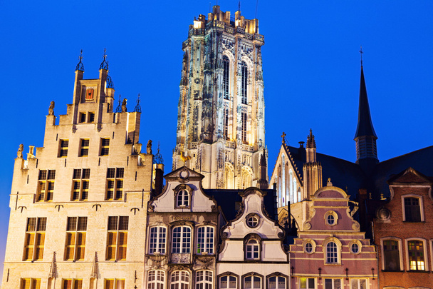 Pyhän Rumboldin katedraali Mechelenissä
 - Valokuva, kuva