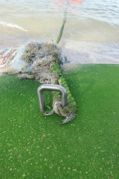 Corde aux algues Vert
 - Photo, image